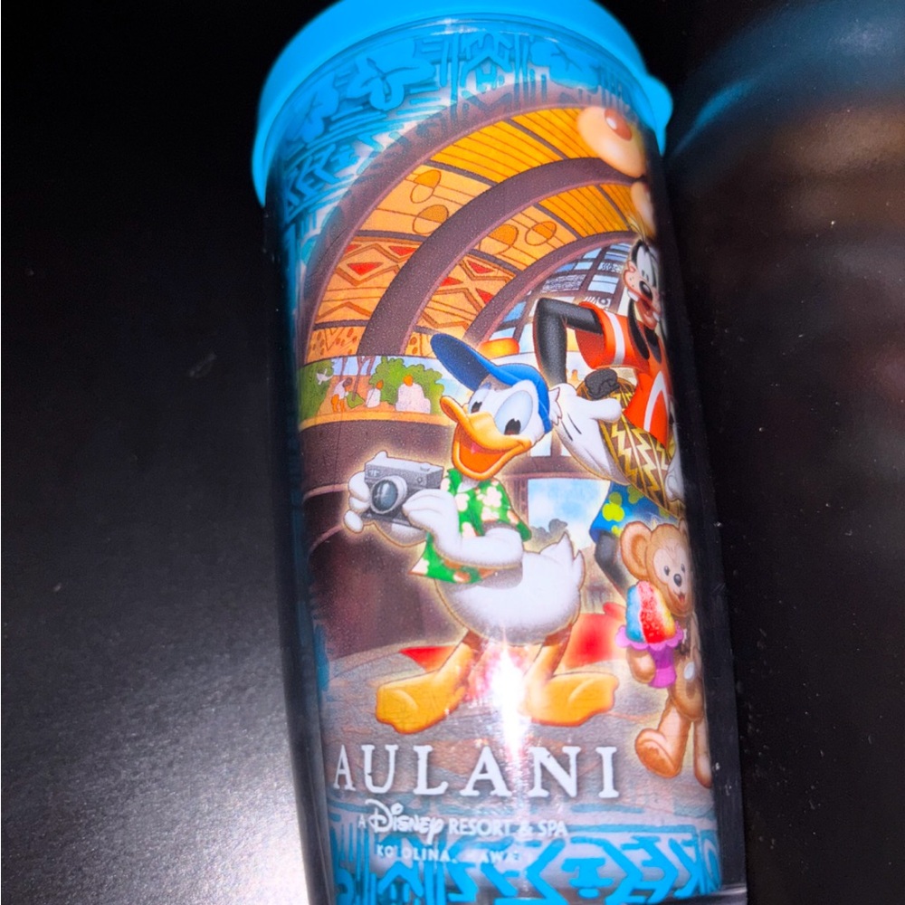 Disney Aulani Tervis Cup